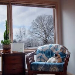 AIRCARE Aria Mini Steam Humidifier -FRIGIDAIRE Sales Shop aircare aria steam humidifier lifestyle