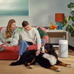 Blueair Blue Pure 411a Max Air Purifier -FRIGIDAIRE Sales Shop blueair blue pure 411a max air purifier lifestyle 1