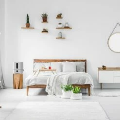 Boneco U250 Digital Cool Mist Ultrasonic Humidifier -FRIGIDAIRE Sales Shop boneco u250 digital cool mist ultrasonic humidifier lifestyle