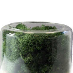 Briiv Sustainable Air Purifier -FRIGIDAIRE Sales Shop briiv sustainable air purifier closeup 1