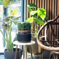 Briiv Sustainable Air Purifier -FRIGIDAIRE Sales Shop briiv sustainable air purifier lifestyle 1