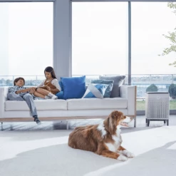 Coway Airmega 400 HEPA Air Purifier -FRIGIDAIRE Sales Shop coway airmega 400 air purifier lifestyle 3