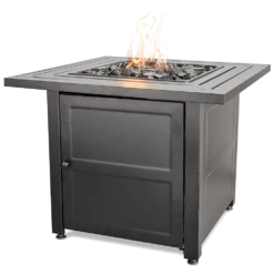 Endless Summer LP Gas Outdoor Fire Pit With Steel Mantel