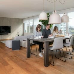 Stadler Form Roger Big HEPA Air Purifier -FRIGIDAIRE Sales Shop stadler form roger big hepa air purifier lifestyle