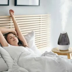 Winix 1 Gallon Ultrasonic Humidifier W/ Aromatherapy -FRIGIDAIRE Sales Shop winix l100 1 gallon ultrasonic humidifier with aromatherapy ls 2